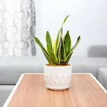 Cozy Central Apartment